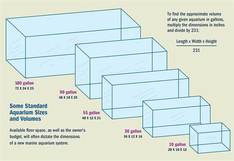 what are the dimensions of a 20 gallon fish tank